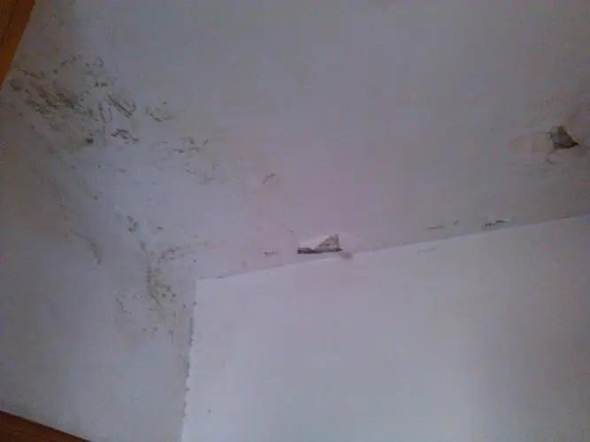 屋頂漏水怎么辦?學(xué)會這幾招兒輕松解決!