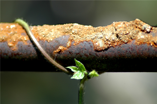 水管漏水有哪些原因 鐵水管生銹怎樣堵水