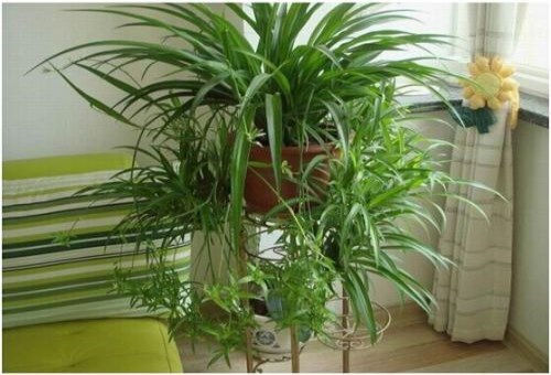 怎么檢測甲醛，家里甲醛超標(biāo)怎么辦?