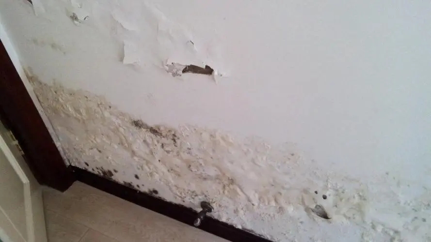 陽臺(tái)改造墻皮掉粉怎么處理?來看看解決辦法！