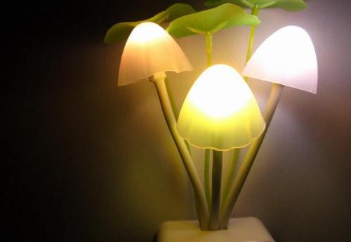 小夜燈的正確用法是什么，小夜燈的種類有哪些?