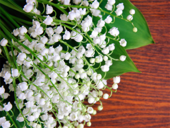 塑木板優(yōu)點是什么，塑木板材選購時注意事項有哪些?